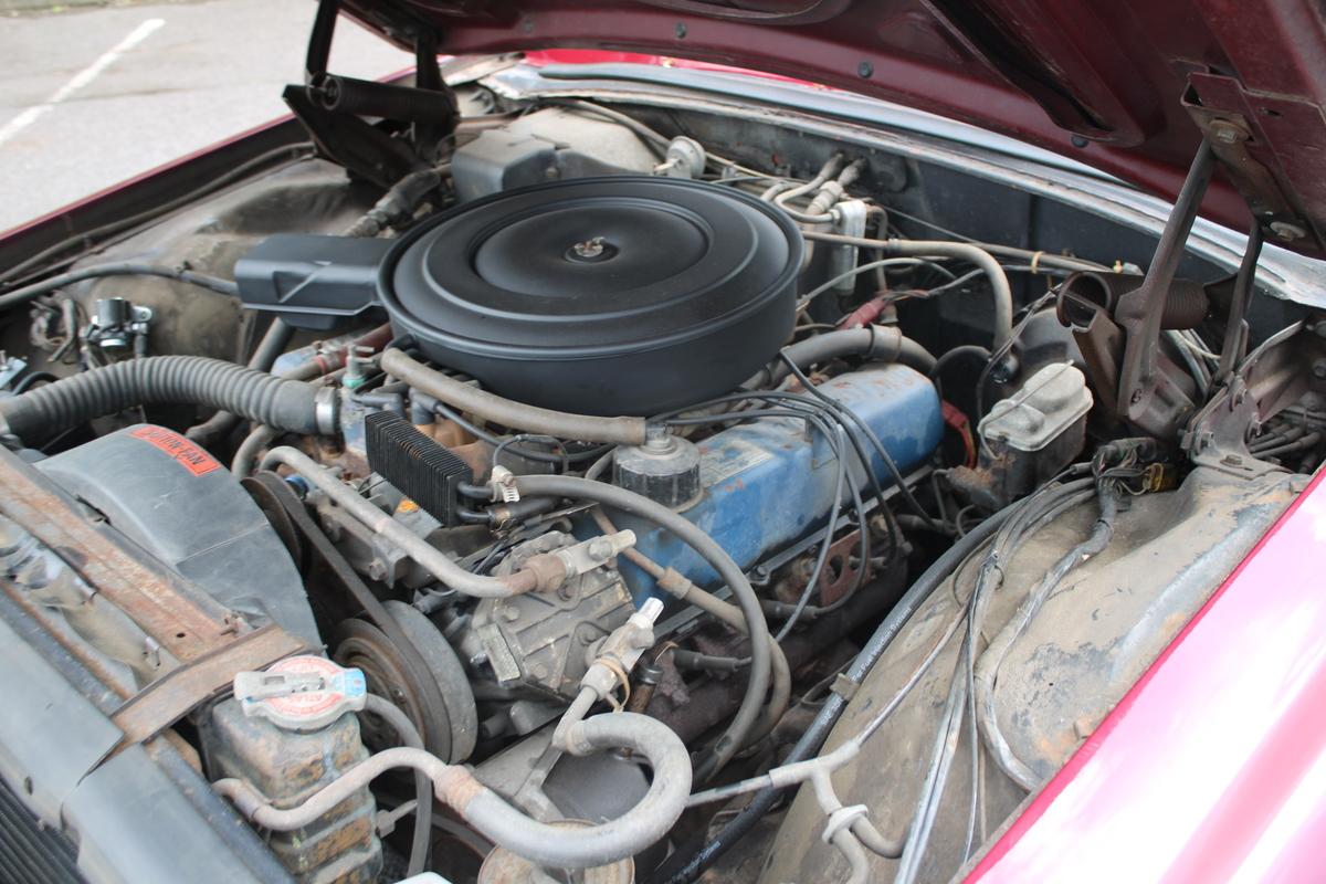 1969 Ford THUNDERBIRD 429