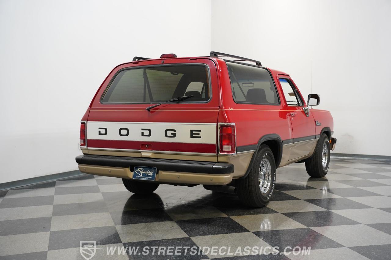 1991 Dodge Ramcharger LE