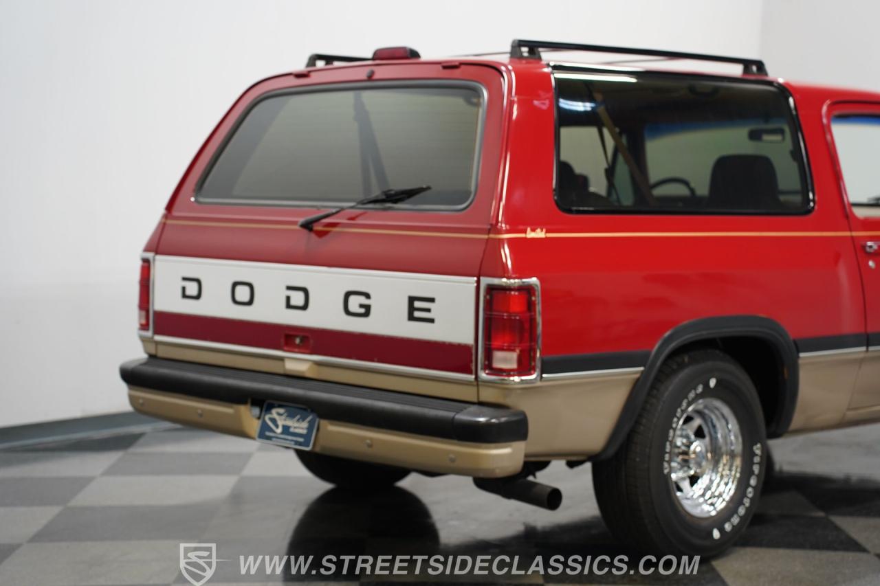 1991 Dodge Ramcharger LE