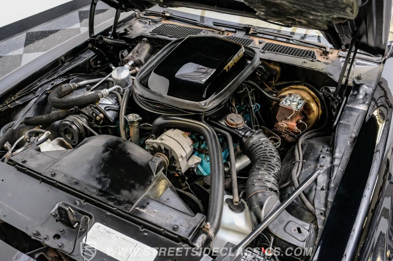 1979 Pontiac Firebird Trans Am SE WS6