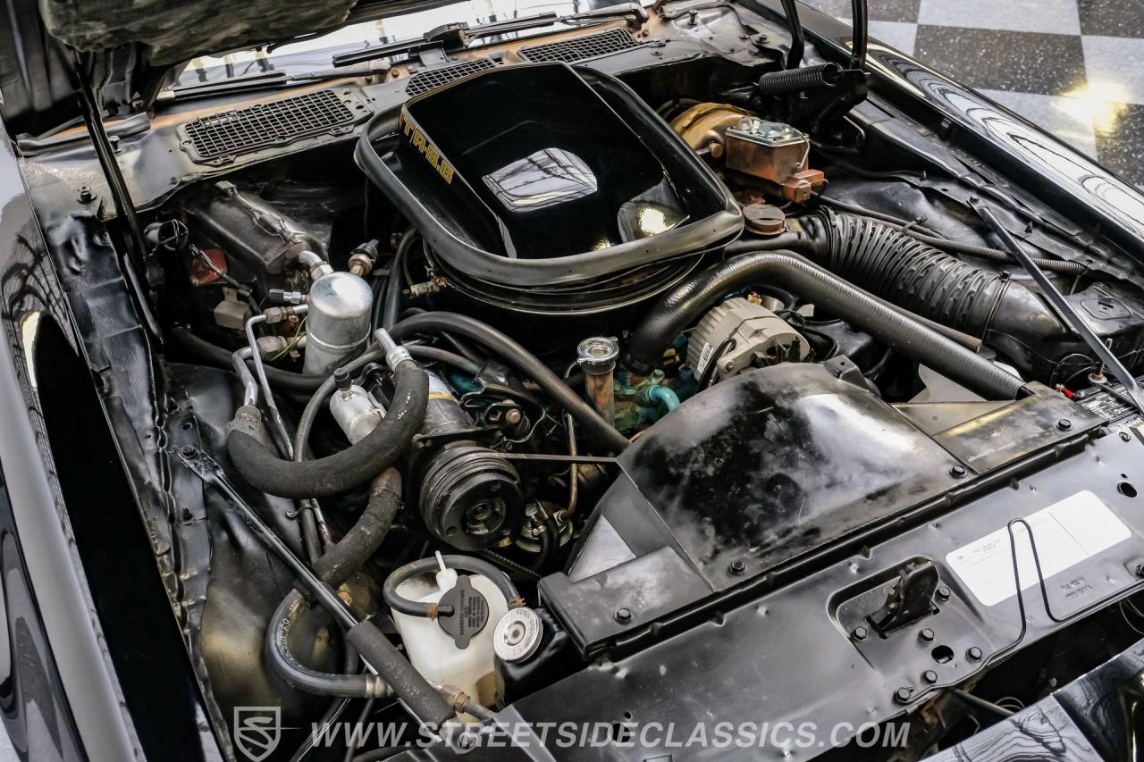 1979 Pontiac Firebird Trans Am SE WS6