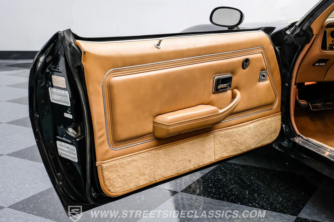 1979 Pontiac Firebird Trans Am SE WS6