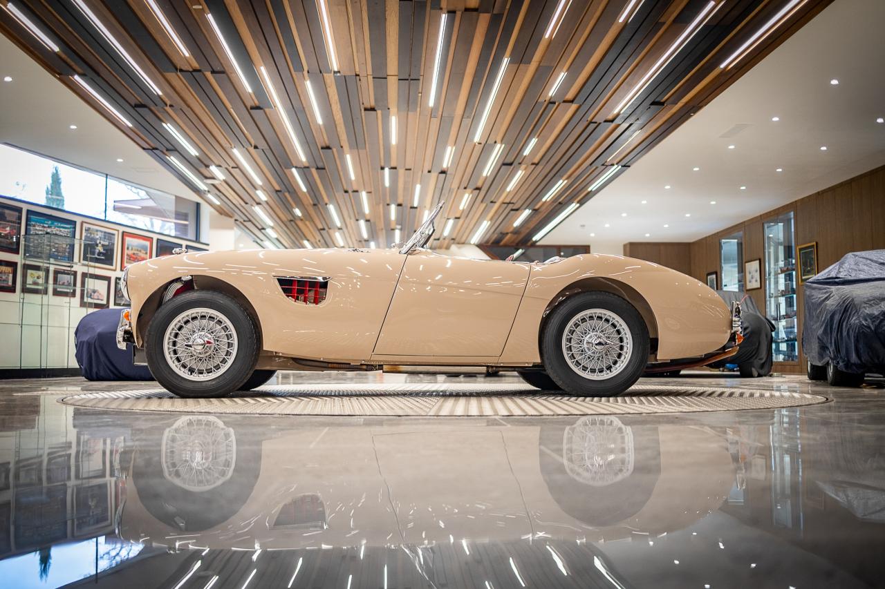 1954 Austin - Healey 100/4