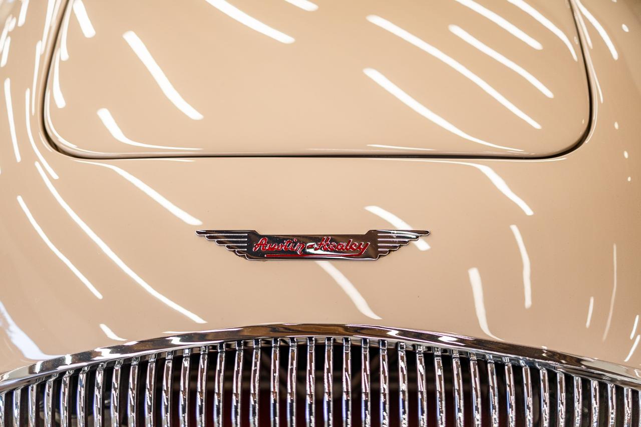 1954 Austin - Healey 100/4