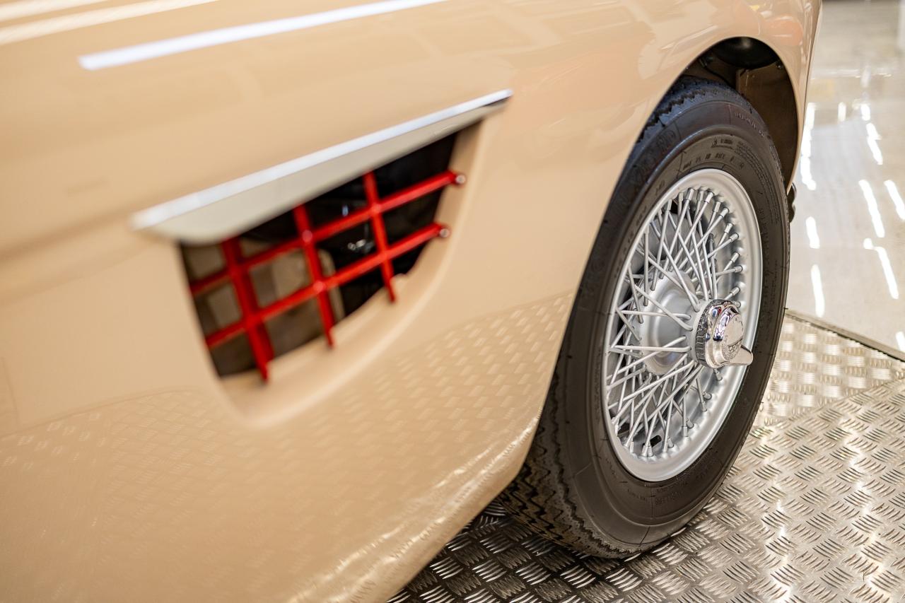 1954 Austin - Healey 100/4