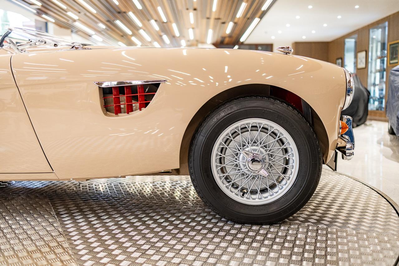 1954 Austin - Healey 100/4