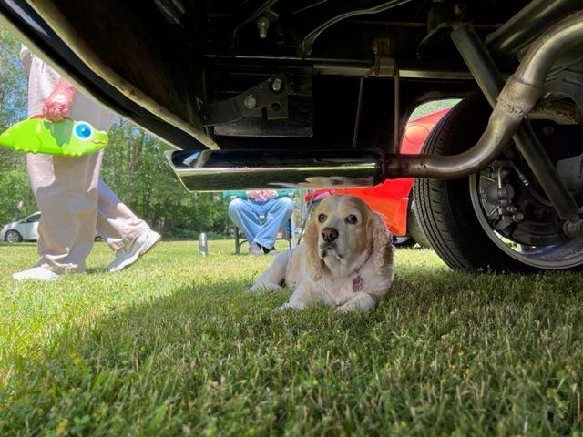 1948 Dodge Business Coupe