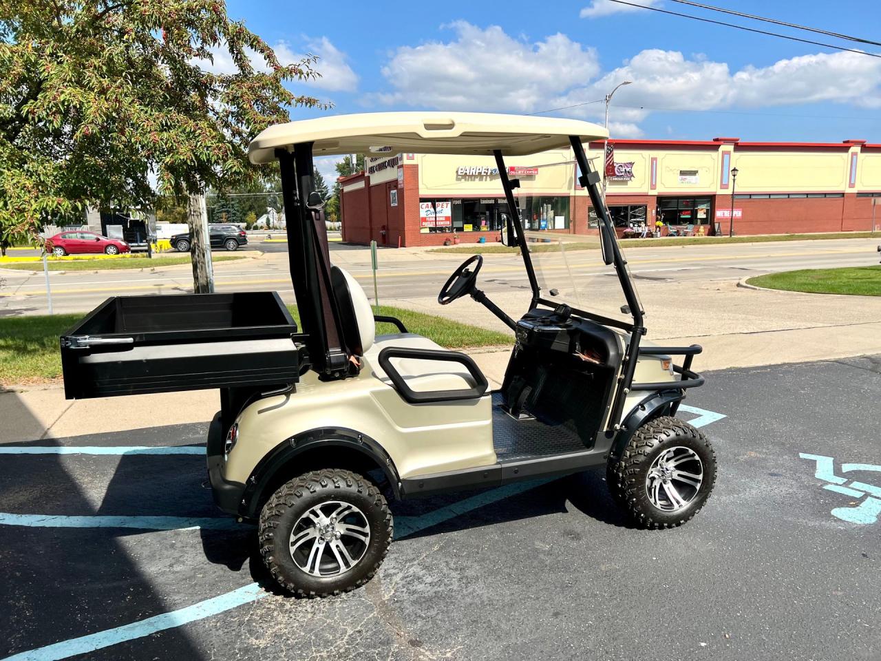 2019 Olympus Golf Cart