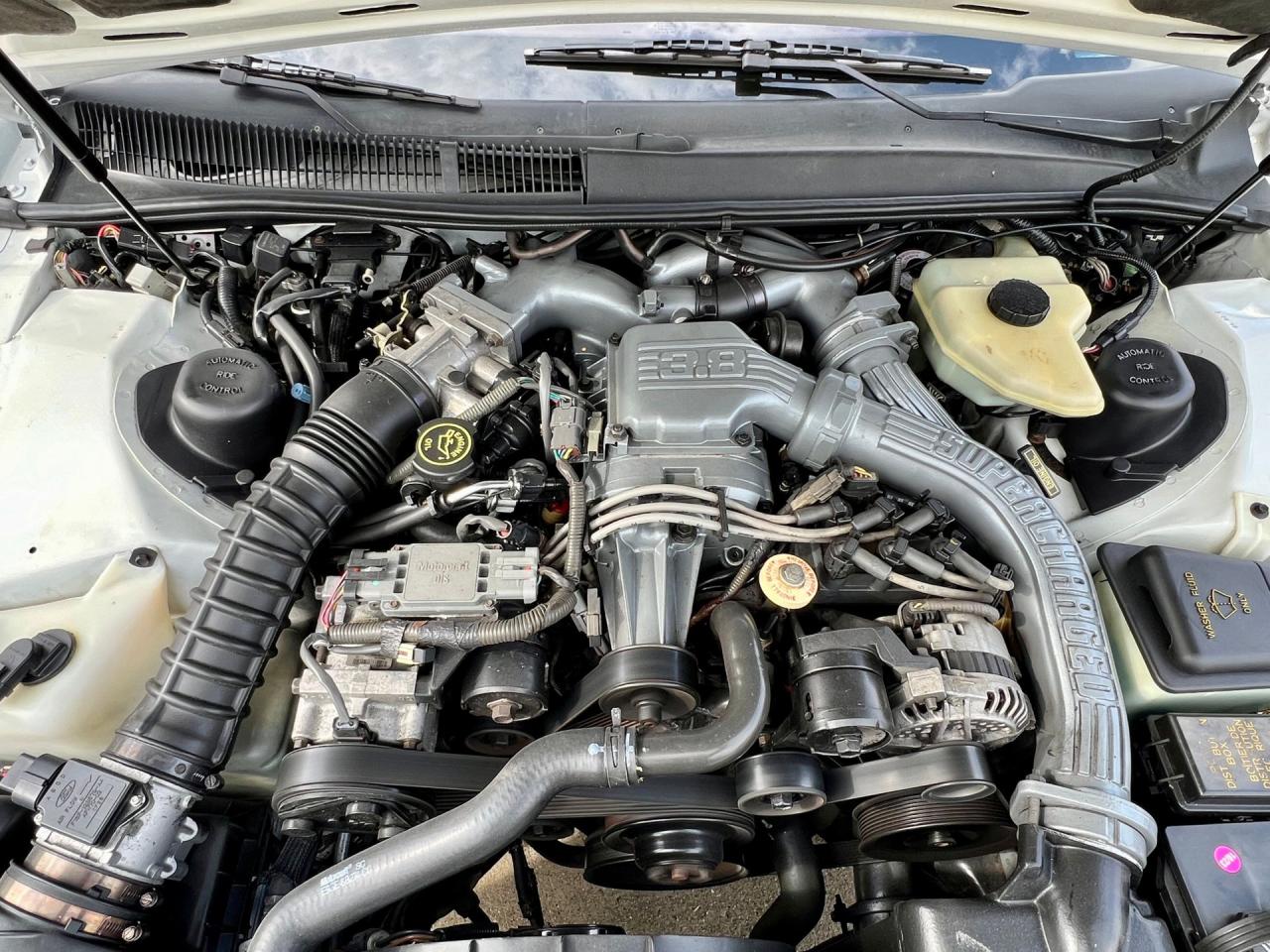 1991 Ford Thunderbird Super Coupe