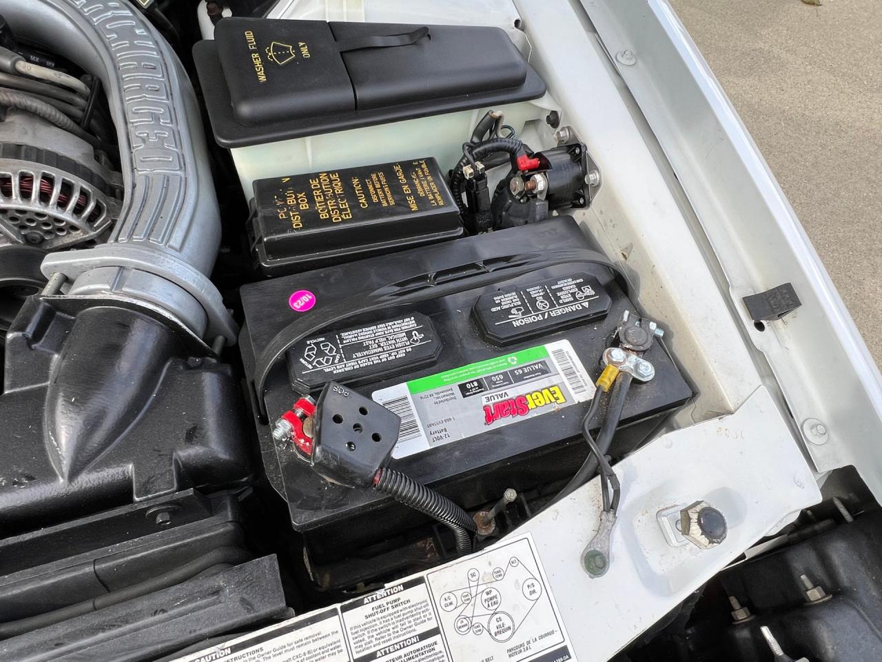 1991 Ford Thunderbird Super Coupe