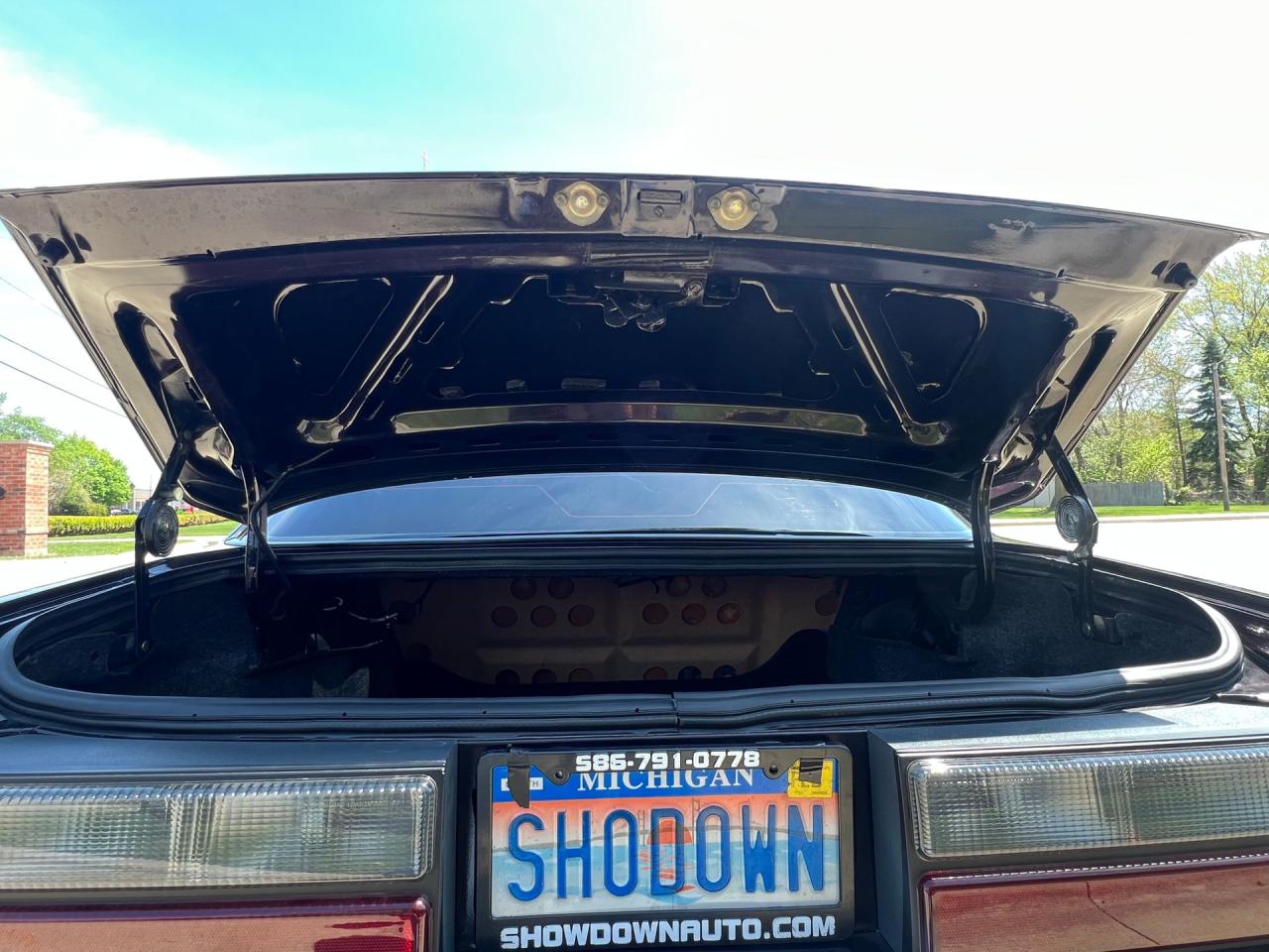 1989 Ford Mustang LX 5.0