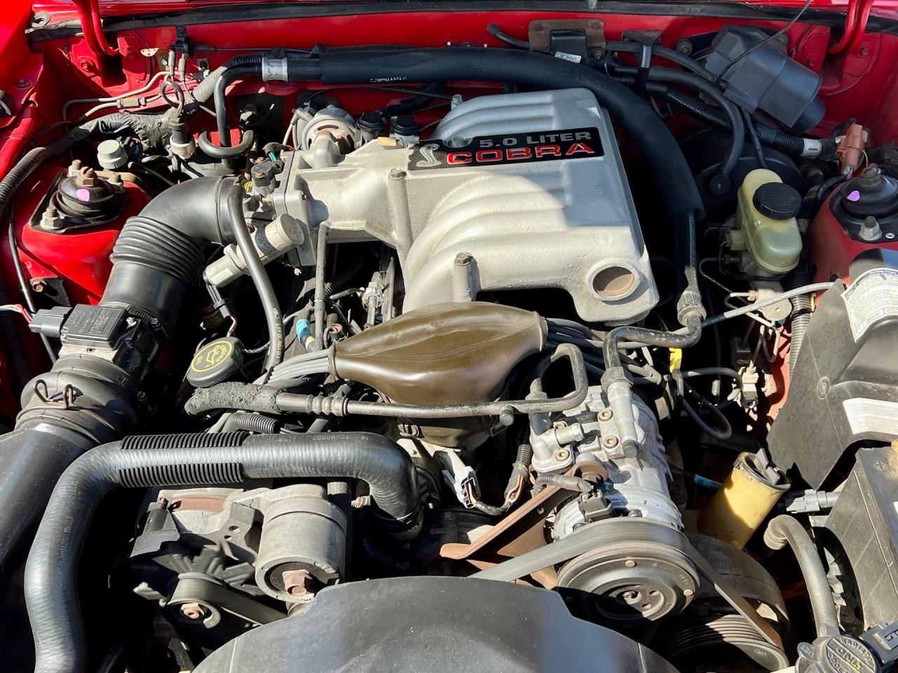 1993 Ford Mustang Cobra