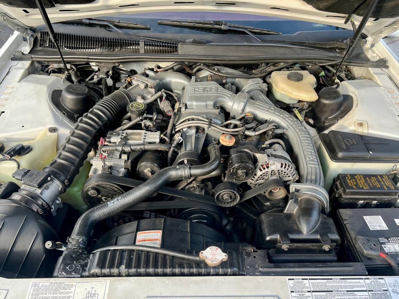 1991 Ford Thunderbird Super Coupe