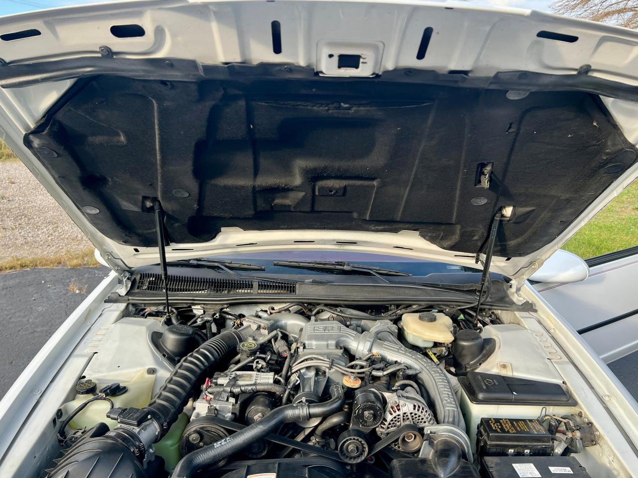 1991 Ford Thunderbird Super Coupe