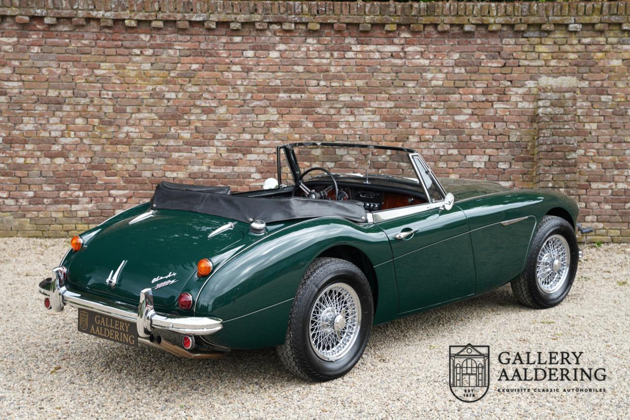 1966 Austin - Healey 3000 Mk3 Fase 2