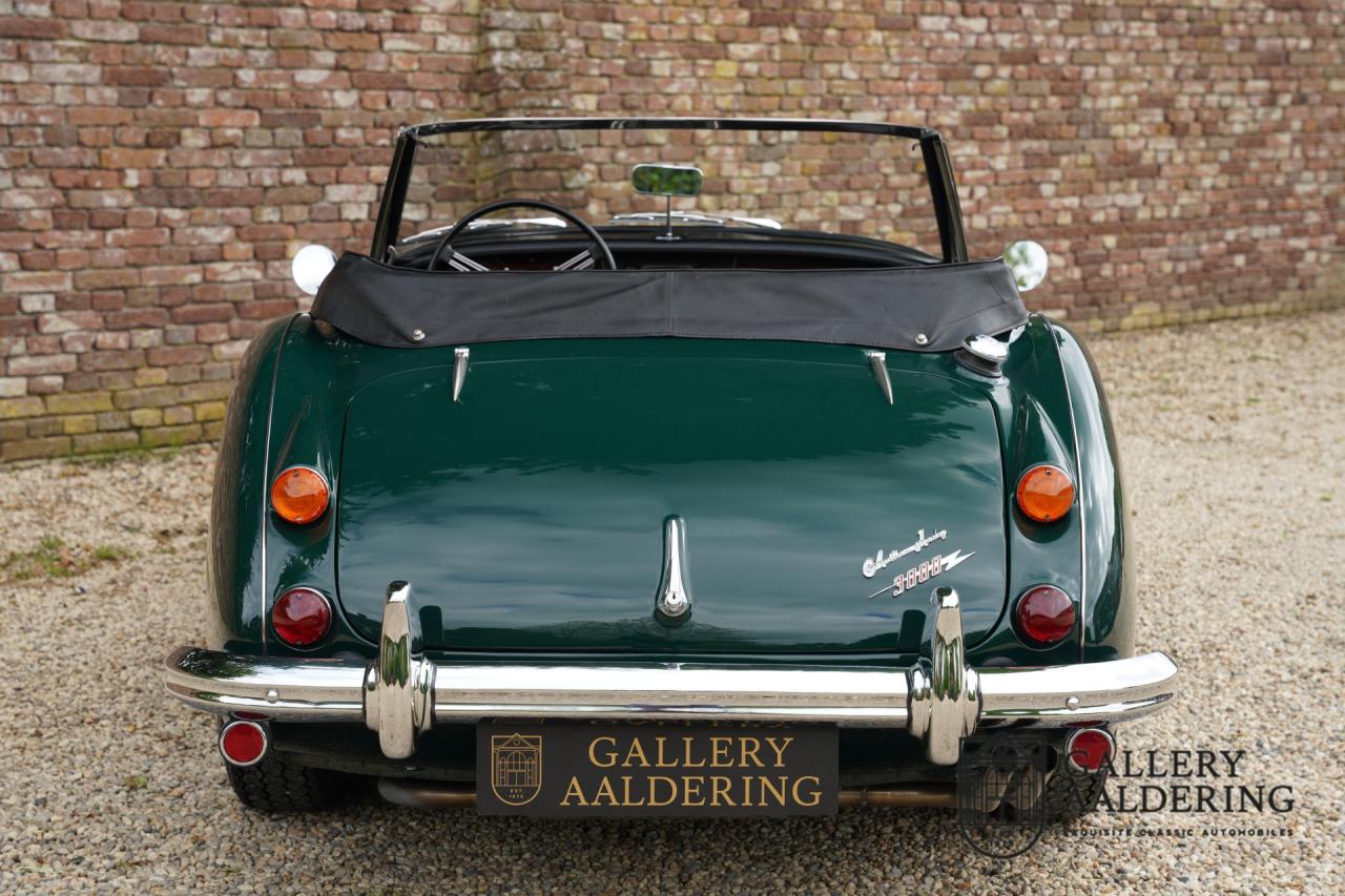 1966 Austin - Healey 3000 Mk3 Fase 2