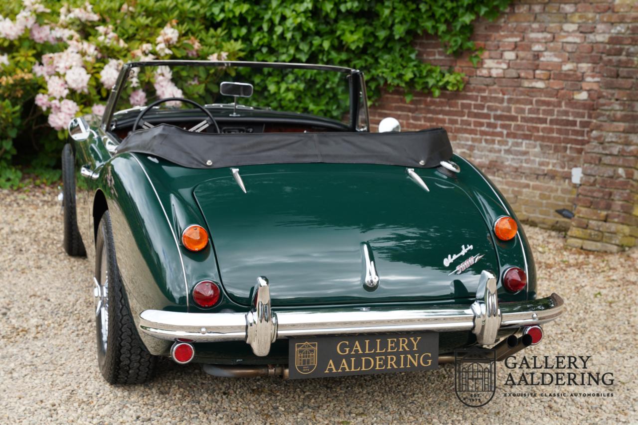 1966 Austin - Healey 3000 Mk3 Fase 2