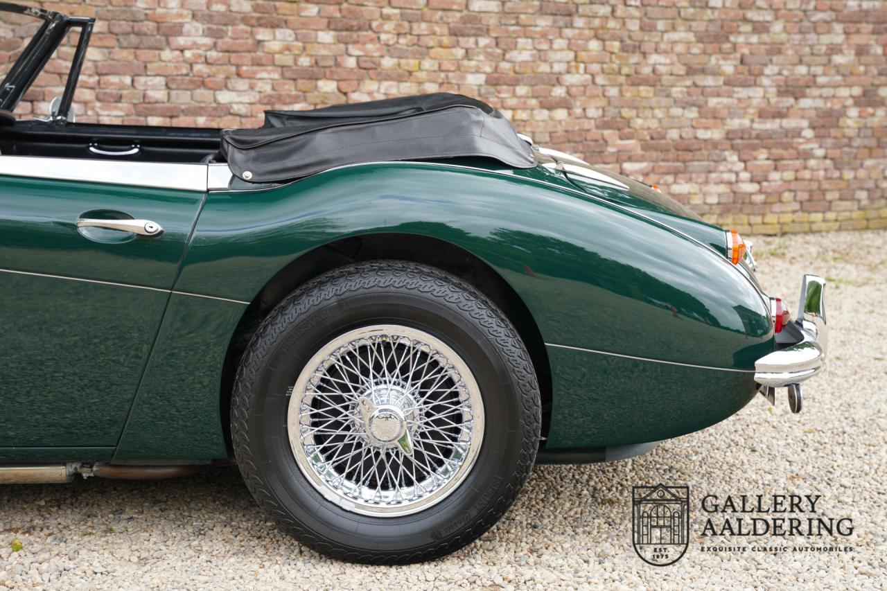 1966 Austin - Healey 3000 Mk3 Fase 2
