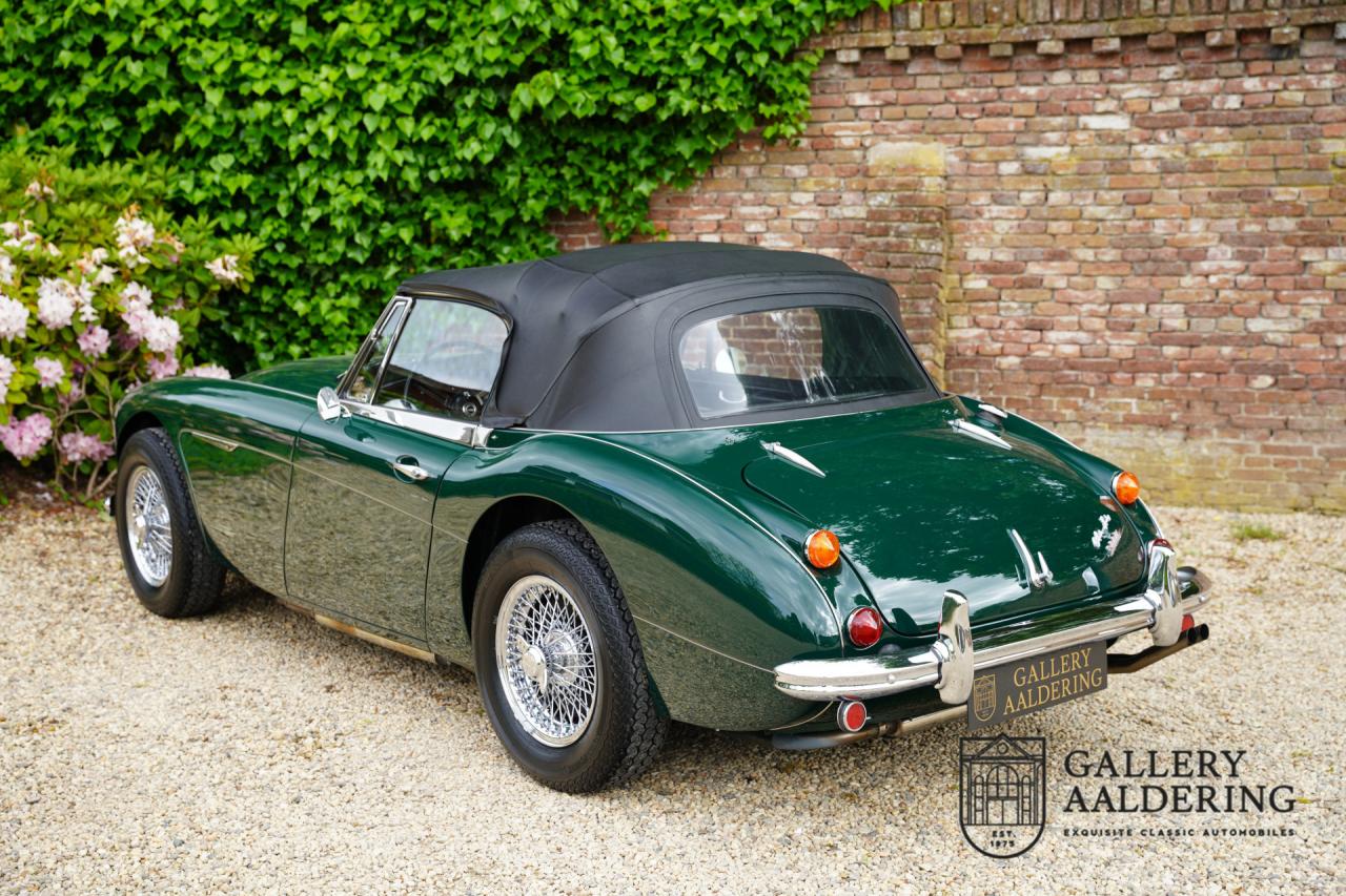 1966 Austin - Healey 3000 Mk3 Fase 2