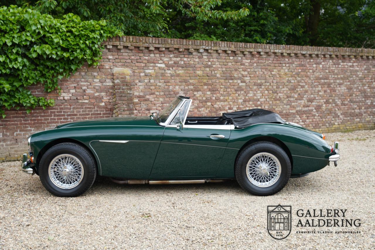 1966 Austin - Healey 3000 Mk3 Fase 2