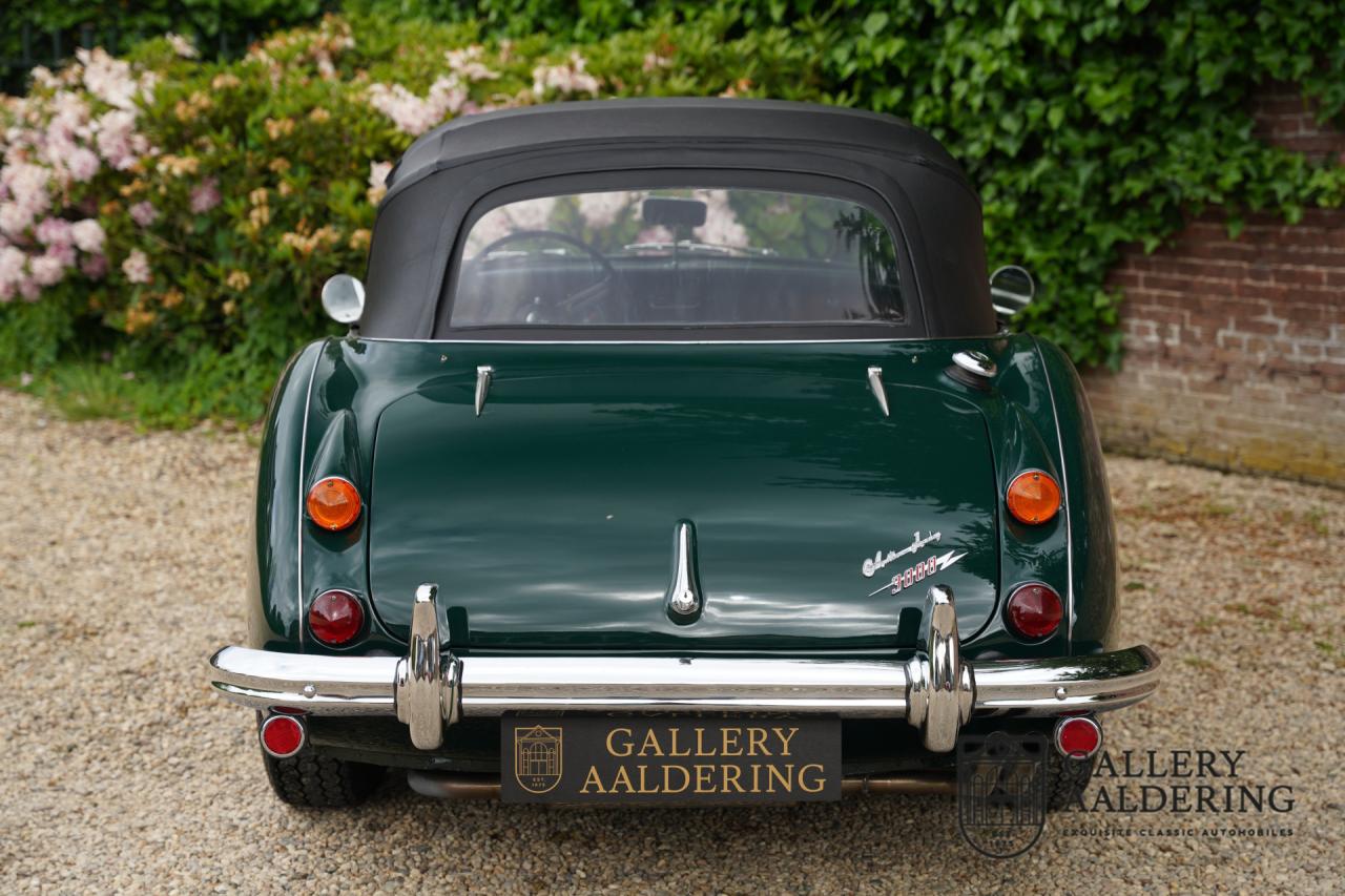 1966 Austin - Healey 3000 Mk3 Fase 2