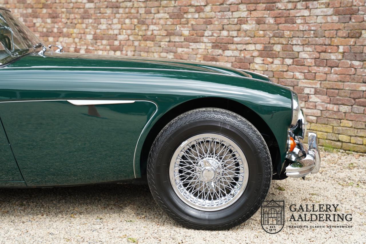 1966 Austin - Healey 3000 Mk3 Fase 2