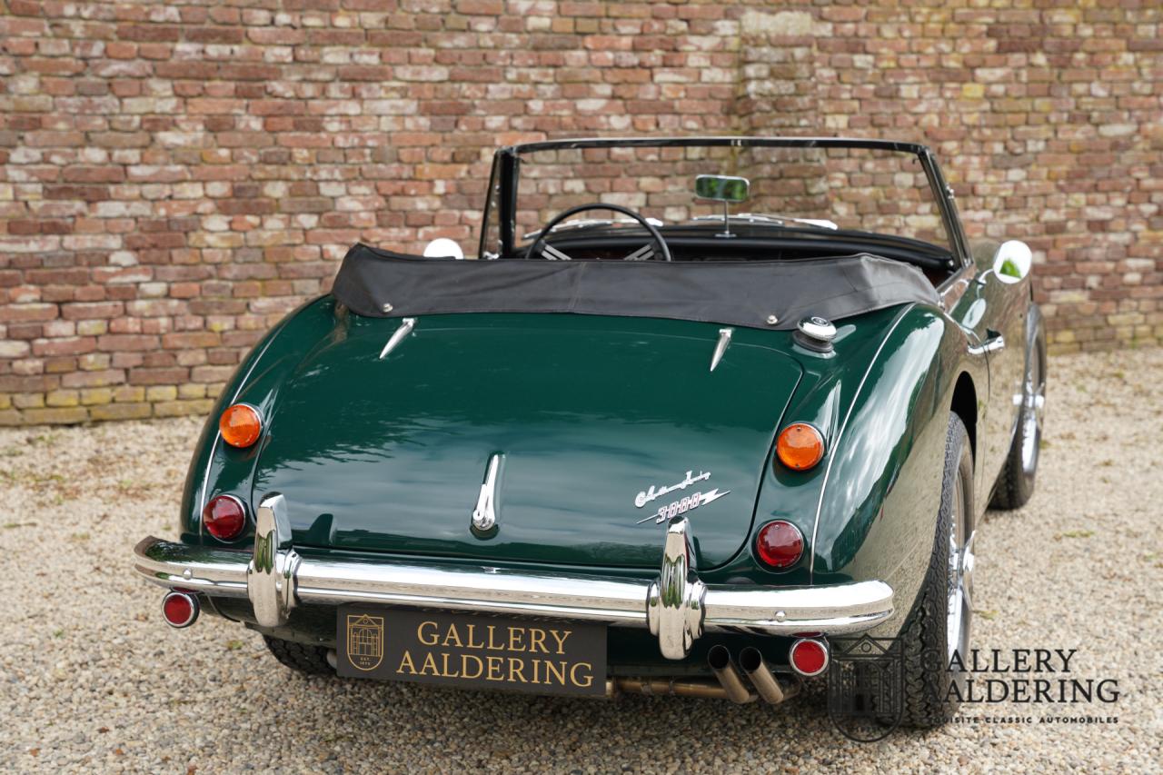 1966 Austin - Healey 3000 Mk3 Fase 2