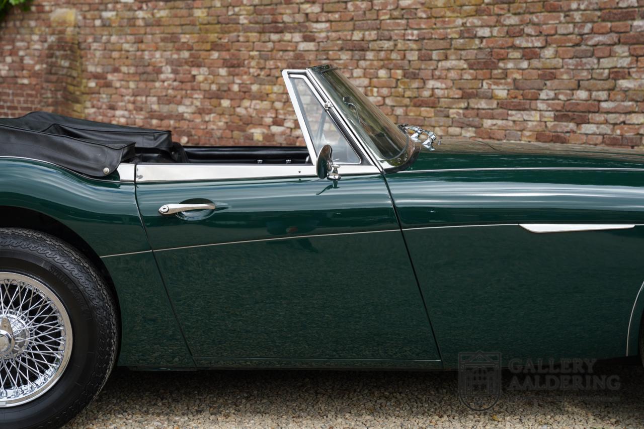 1966 Austin - Healey 3000 Mk3 Fase 2
