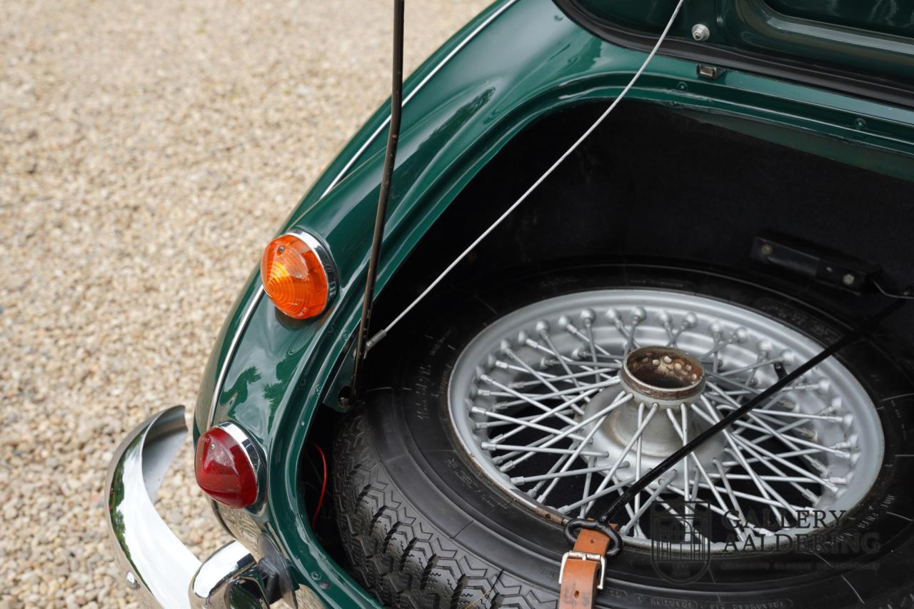 1966 Austin - Healey 3000 Mk3 Fase 2