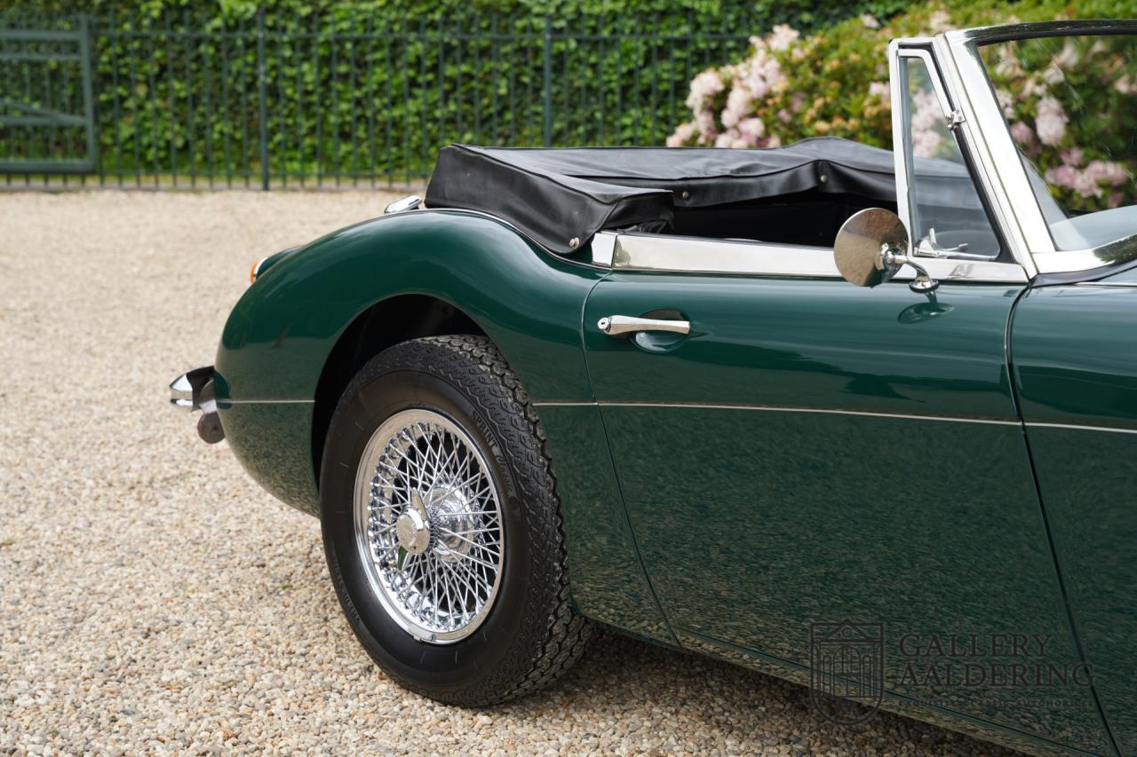 1966 Austin - Healey 3000 Mk3 Fase 2