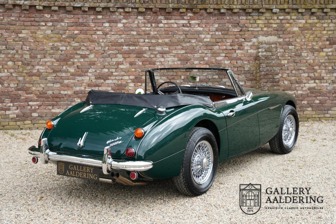 1966 Austin - Healey 3000 Mk3 Fase 2