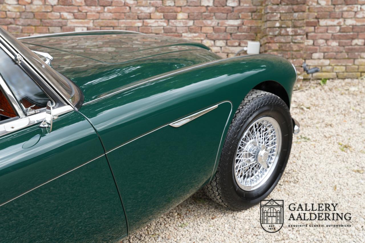 1966 Austin - Healey 3000 Mk3 Fase 2