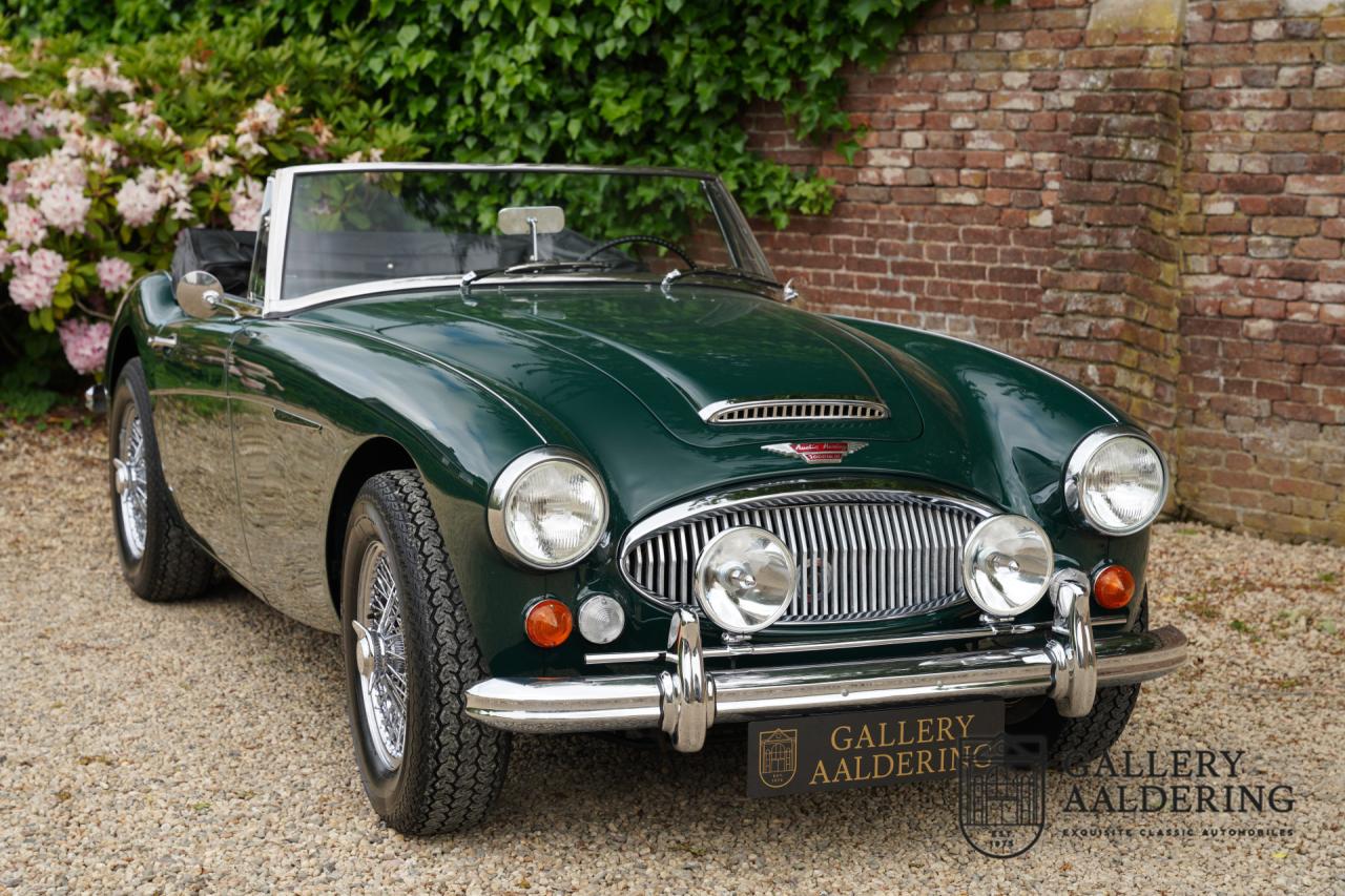 1966 Austin - Healey 3000 Mk3 Fase 2
