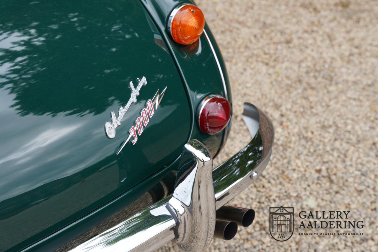 1966 Austin - Healey 3000 Mk3 Fase 2