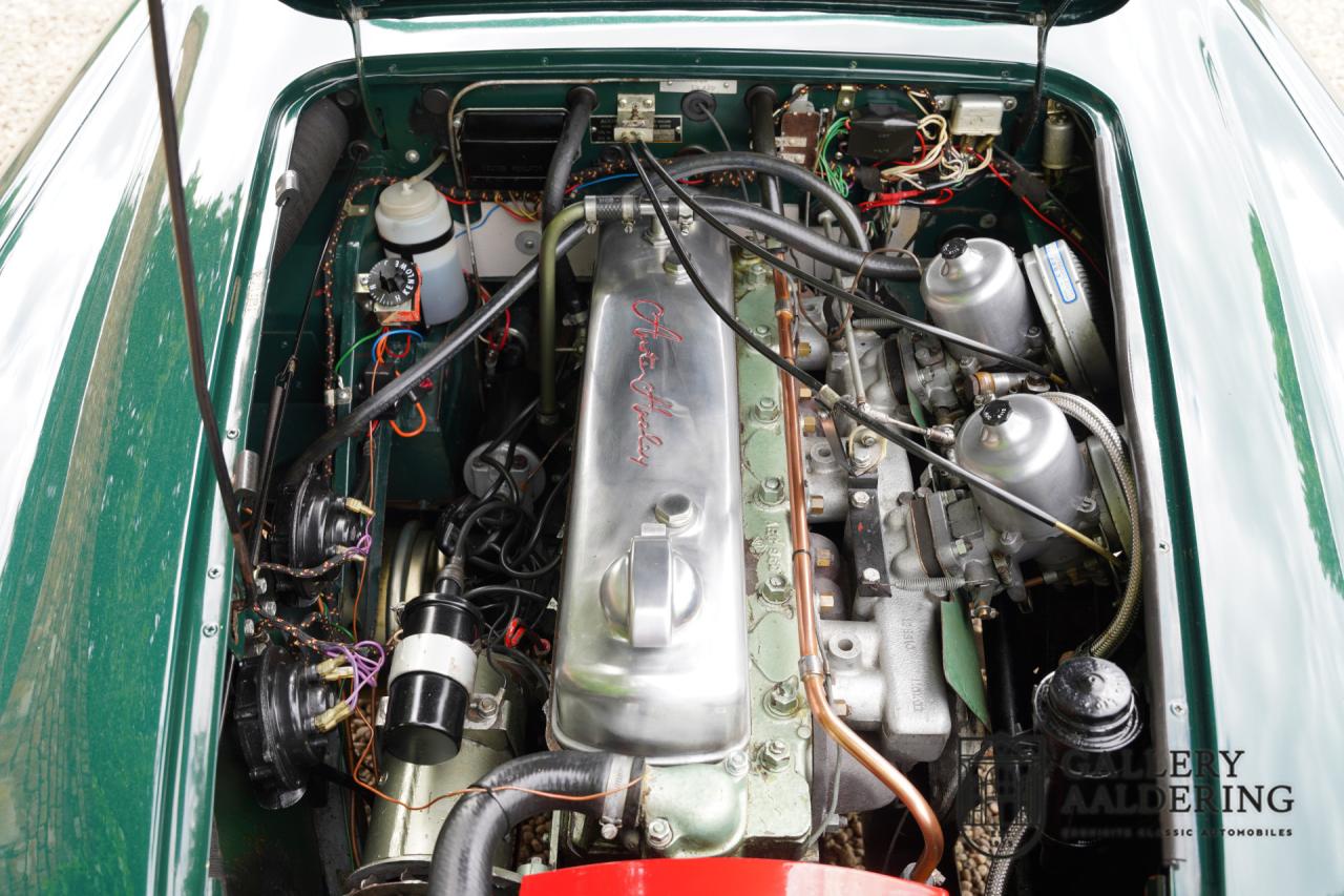 1966 Austin - Healey 3000 Mk3 Fase 2