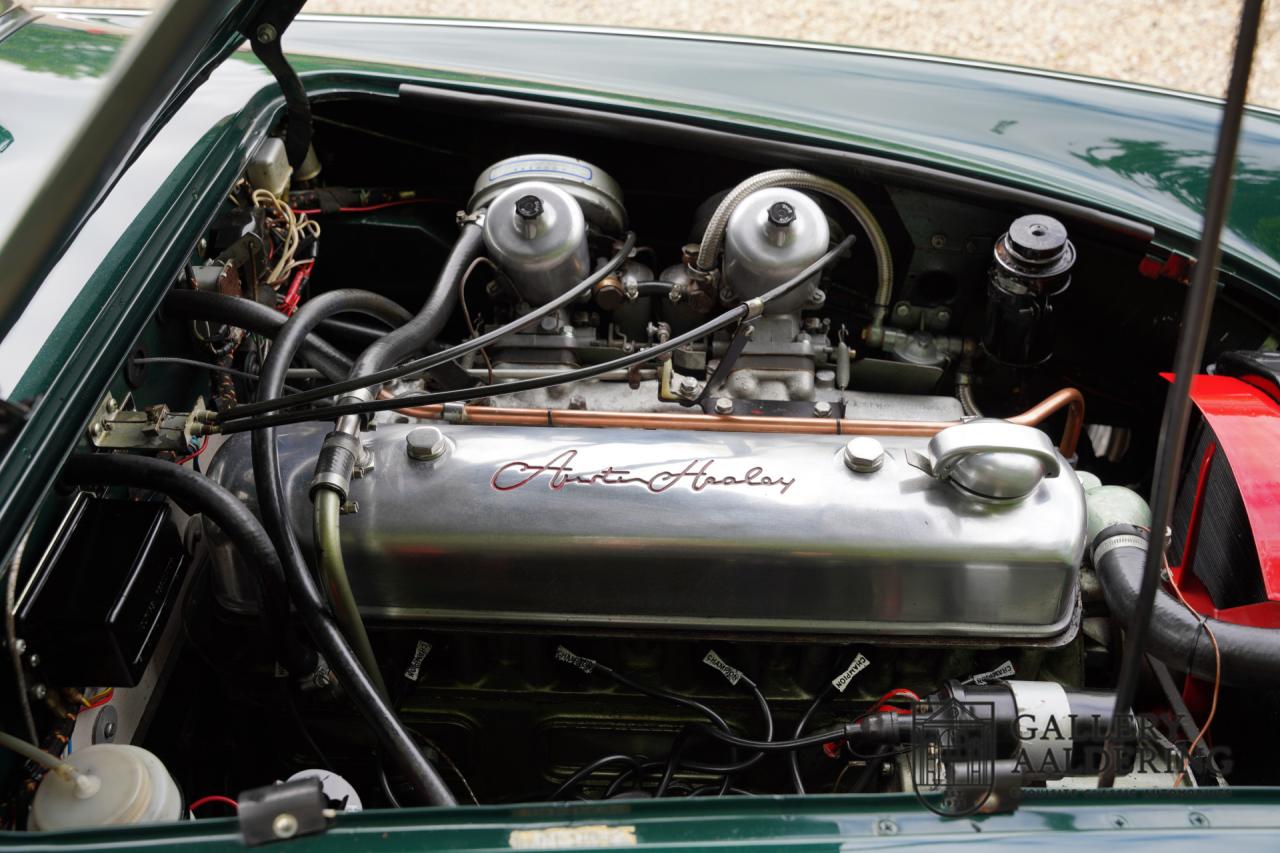 1966 Austin - Healey 3000 Mk3 Fase 2