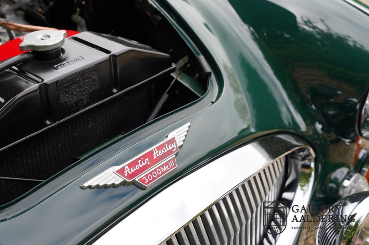 1966 Austin - Healey 3000 Mk3 Fase 2
