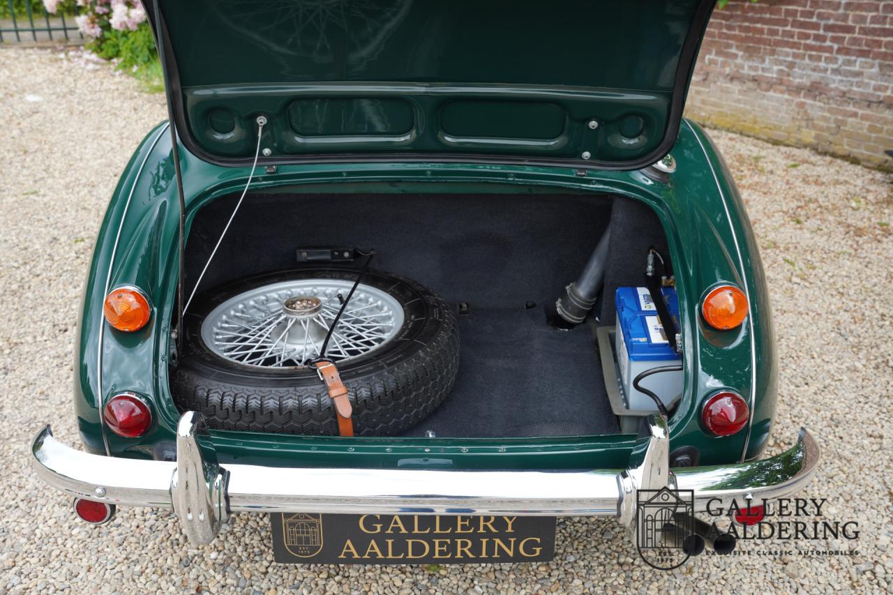 1966 Austin - Healey 3000 Mk3 Fase 2
