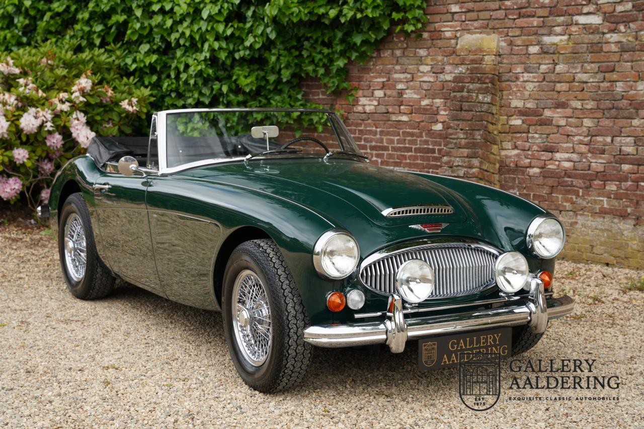 1966 Austin - Healey 3000 Mk3 Fase 2