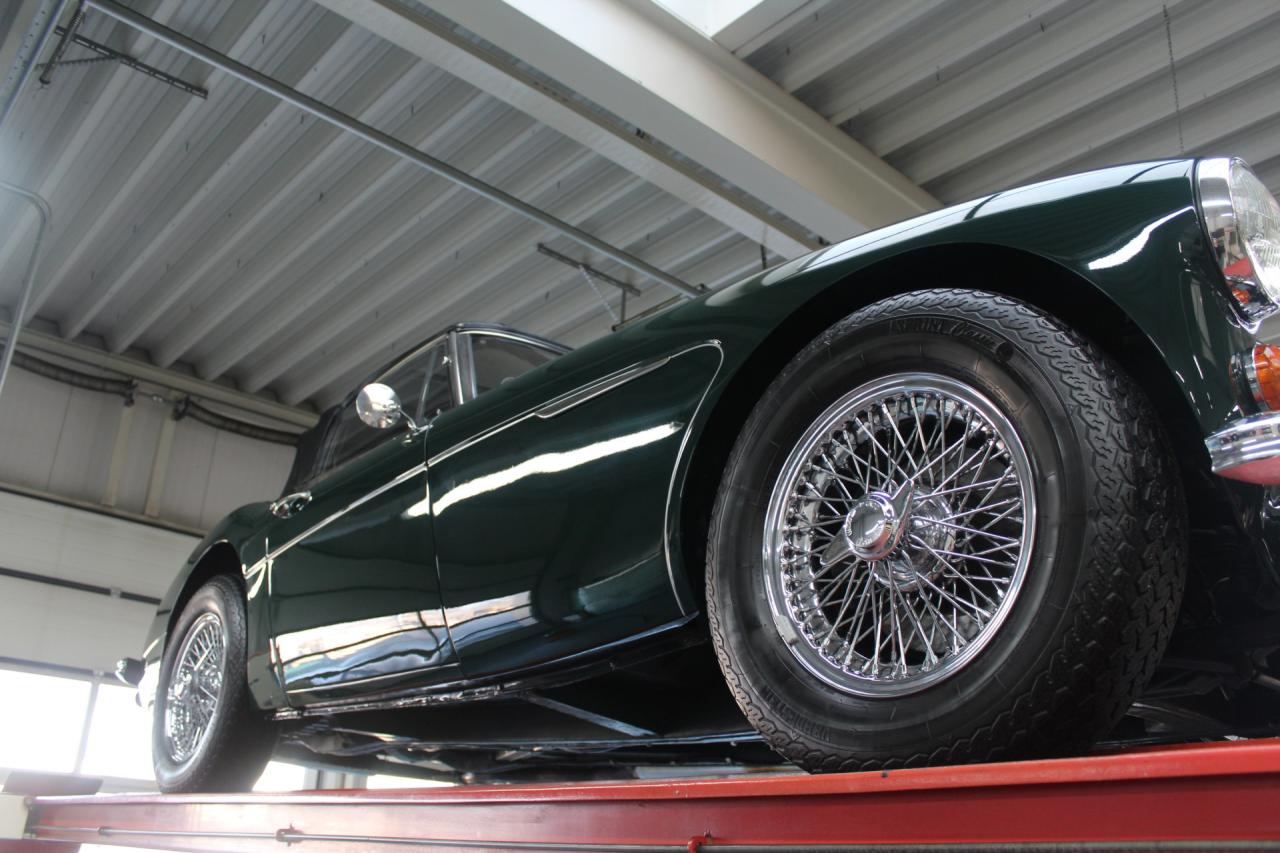 1966 Austin - Healey 3000 Mk3 Fase 2