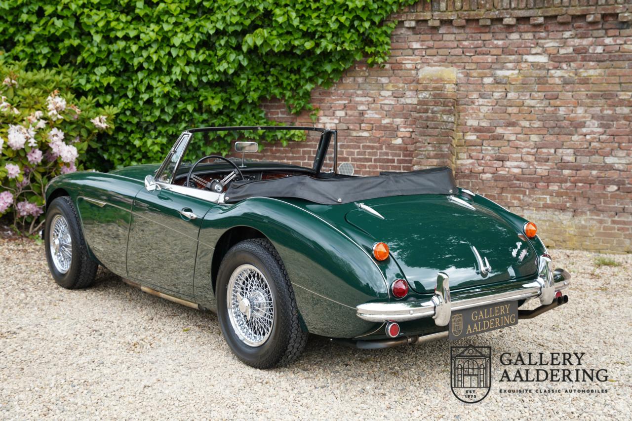 1966 Austin - Healey 3000 Mk3 Fase 2