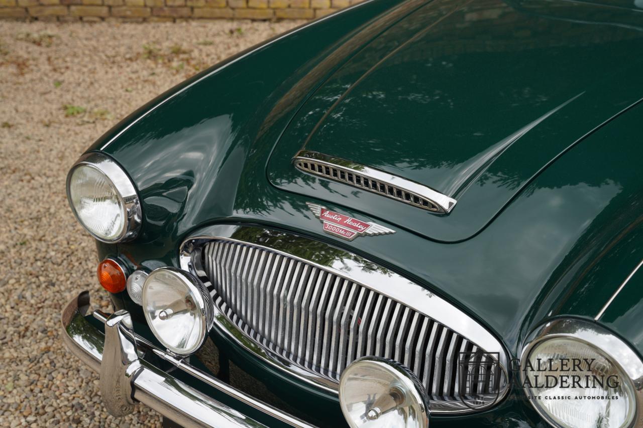 1966 Austin - Healey 3000 Mk3 Fase 2