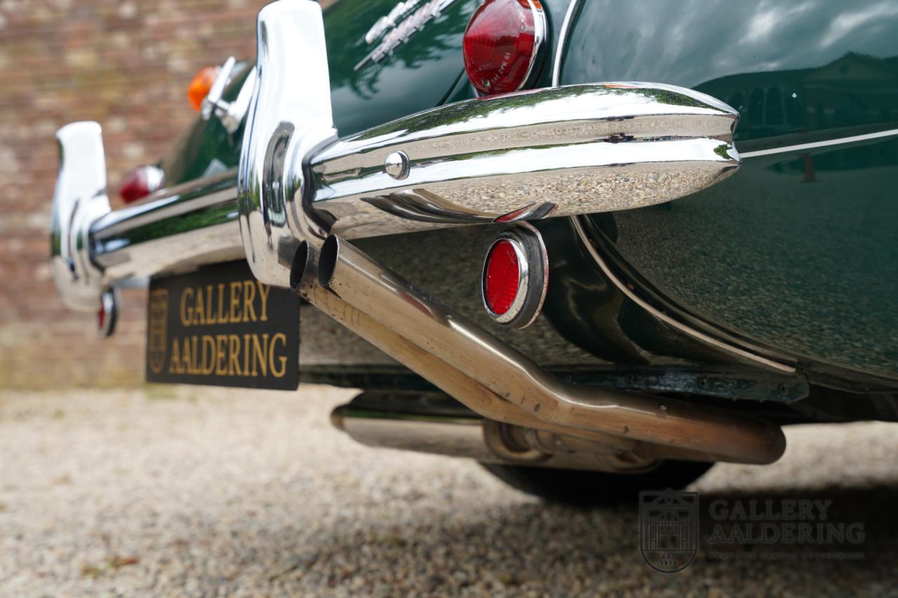 1966 Austin - Healey 3000 Mk3 Fase 2