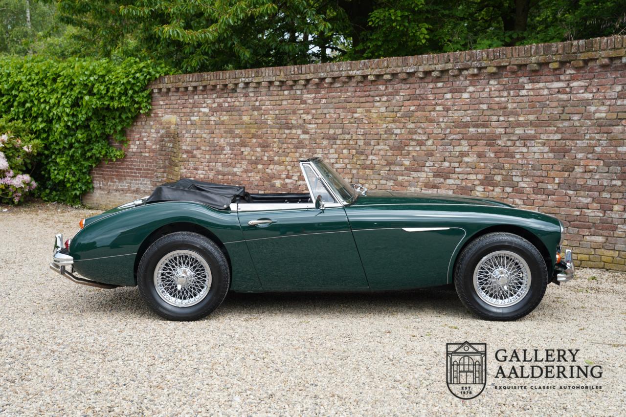 1966 Austin - Healey 3000 Mk3 Fase 2