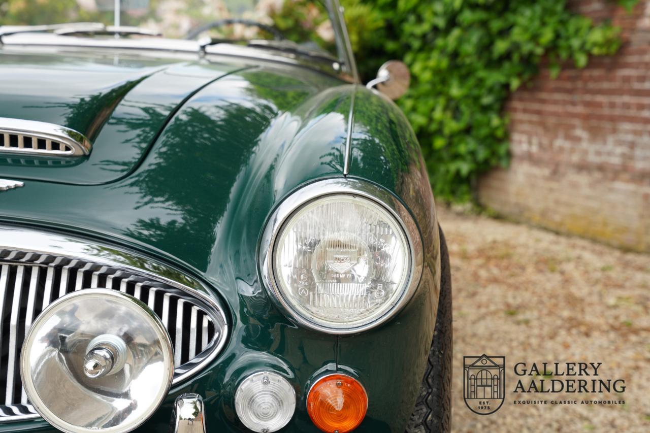 1966 Austin - Healey 3000 Mk3 Fase 2