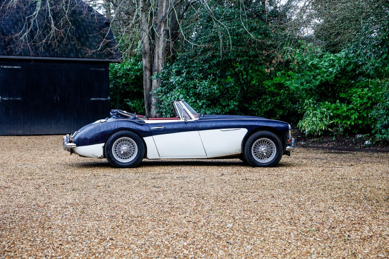 1962 Austin - Healey 3000 Mk. II