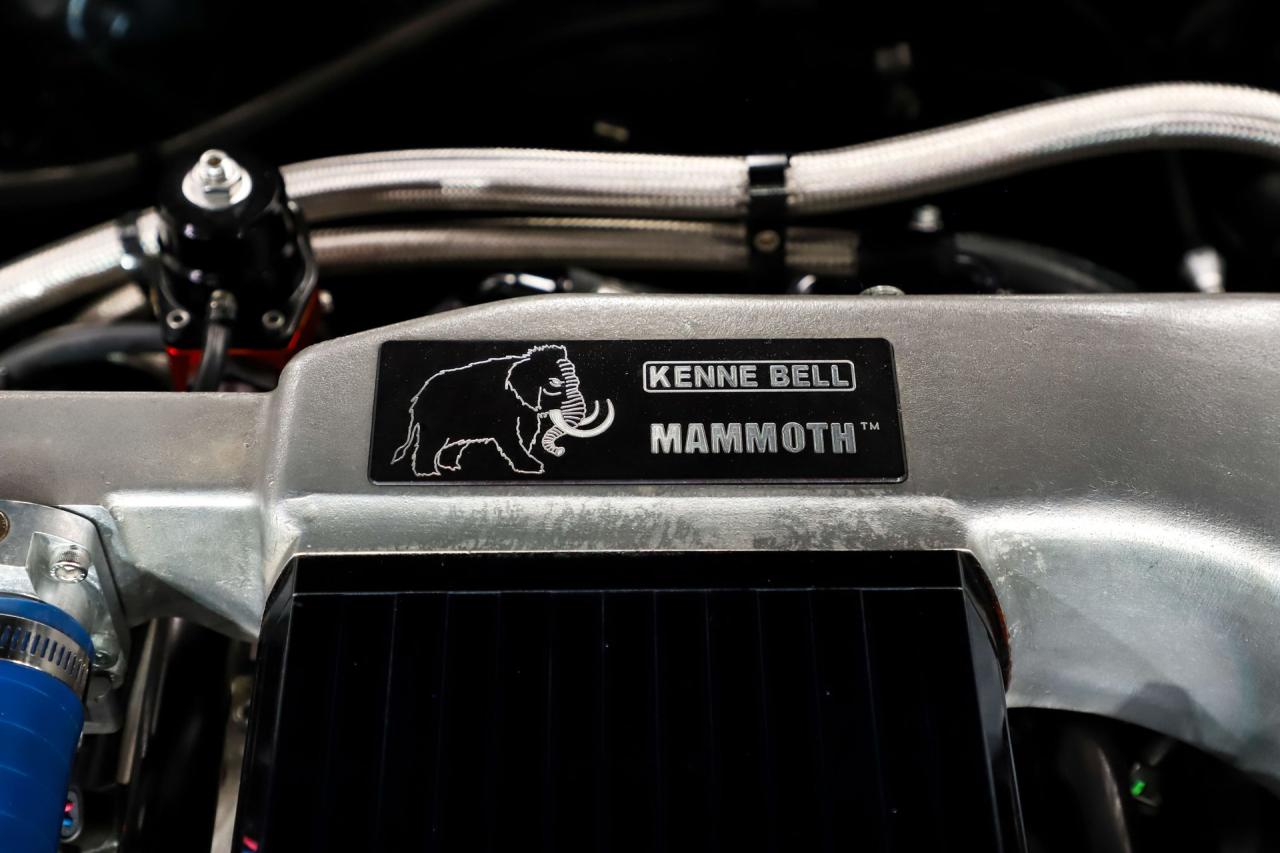 1967 Chevrolet Chevelle Pro Touring