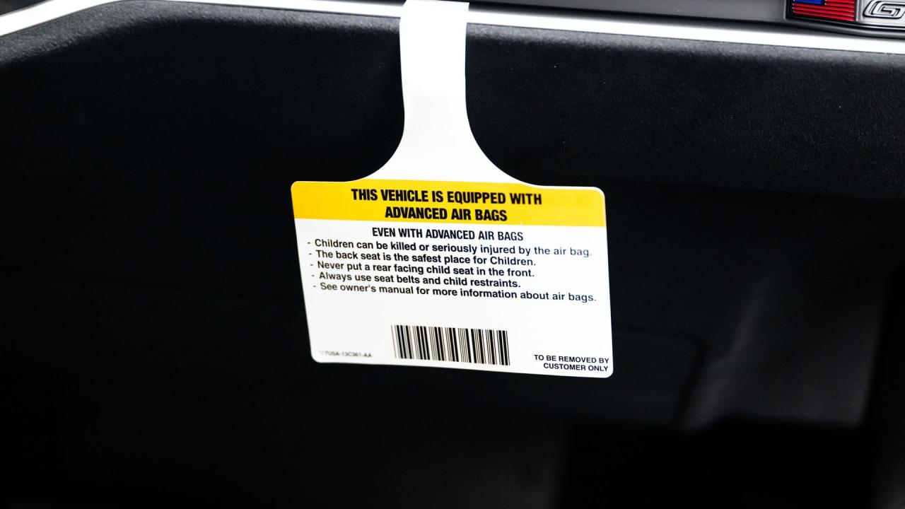 2019 Ford GT Carbon Series