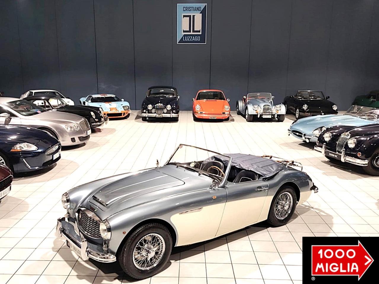 1957 Austin - Healey 100/6