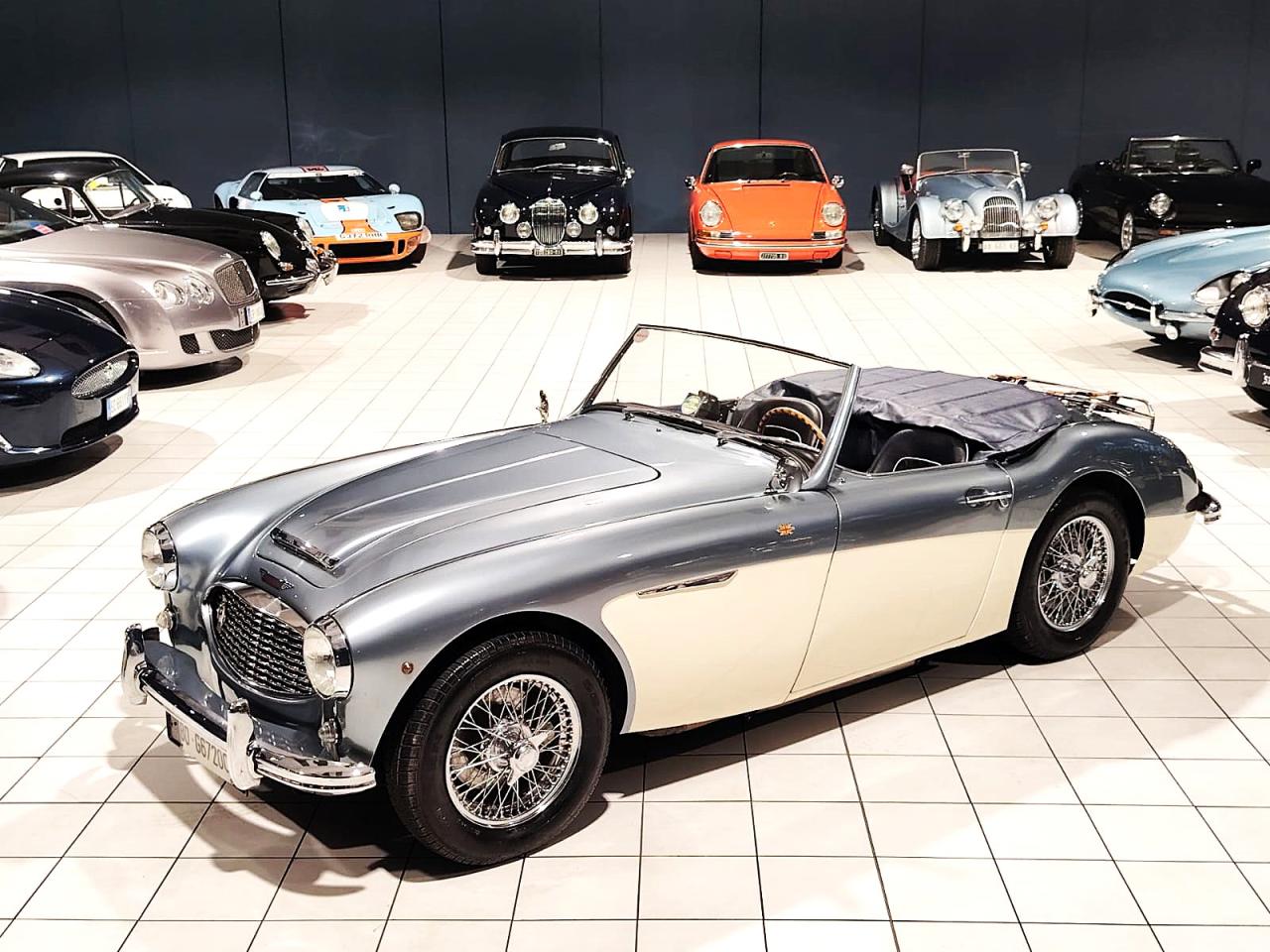 1957 Austin - Healey 100/6